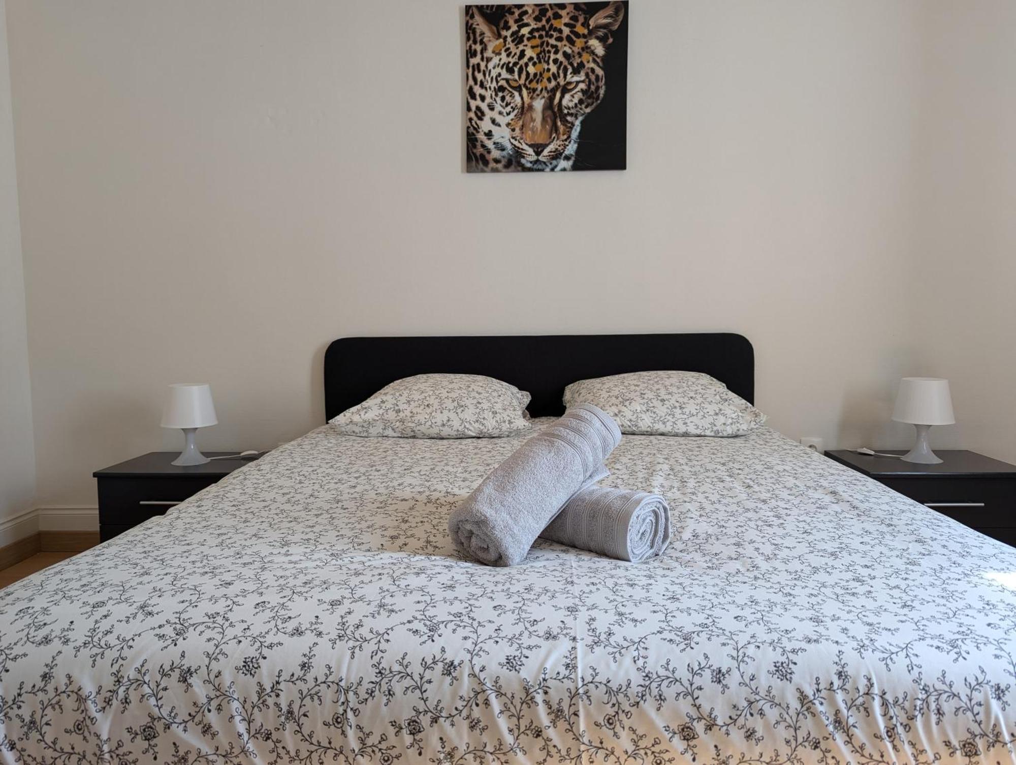Le Mirage - Appartement 2 Chambres, Salon, Cuisine Equipee, Parking Et Wifi Gratuit Mulhouse Dış mekan fotoğraf